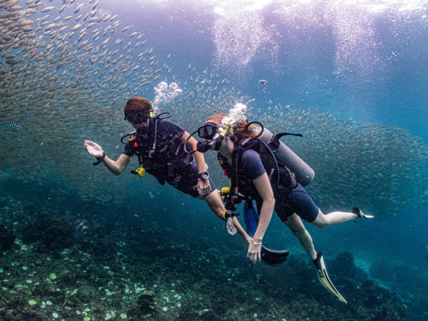 Discover Scuba Diving