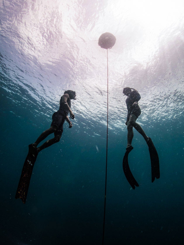 PADI Freediver